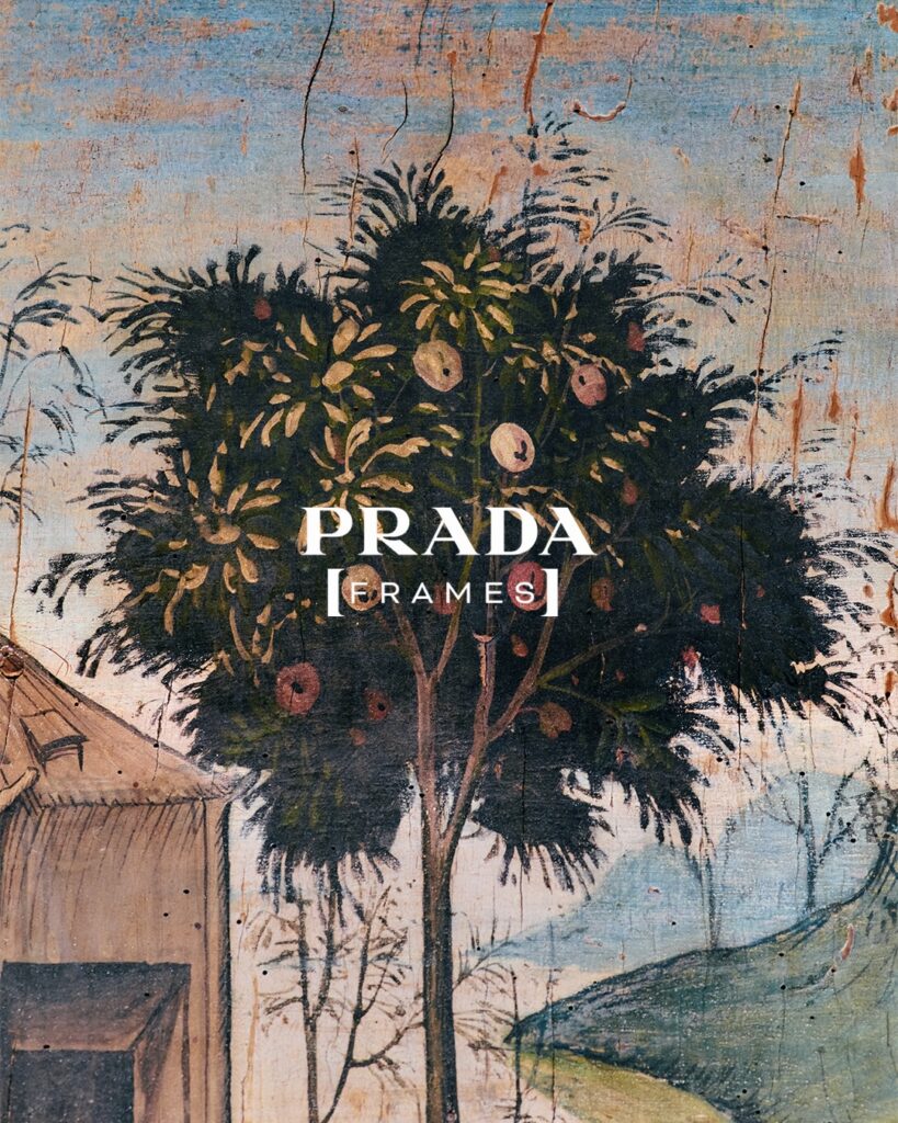  Formafantasma, Prada Frames 
