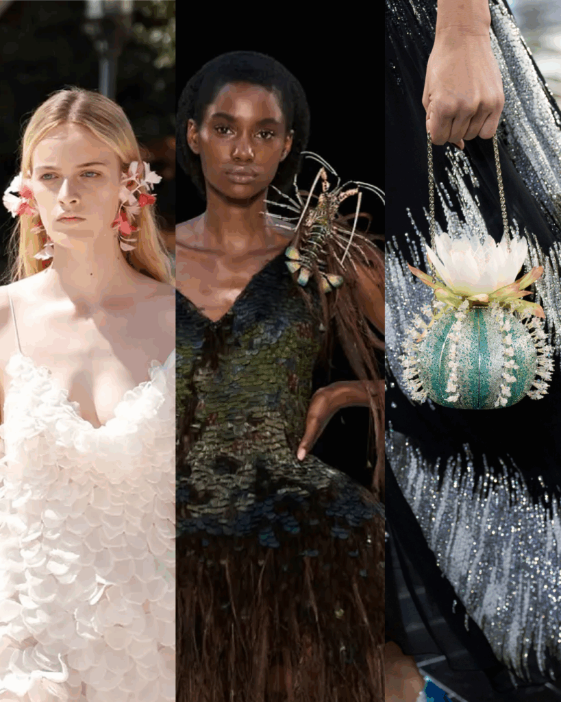 L'oeil du Runway: Balenciaga, Ashi Studio et Dior Couture FW26